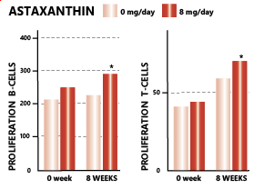 AstaReal® 蝦青素 The levels of T cells and B cells (that destroy bacteria and viruses) were lifted and became more active.